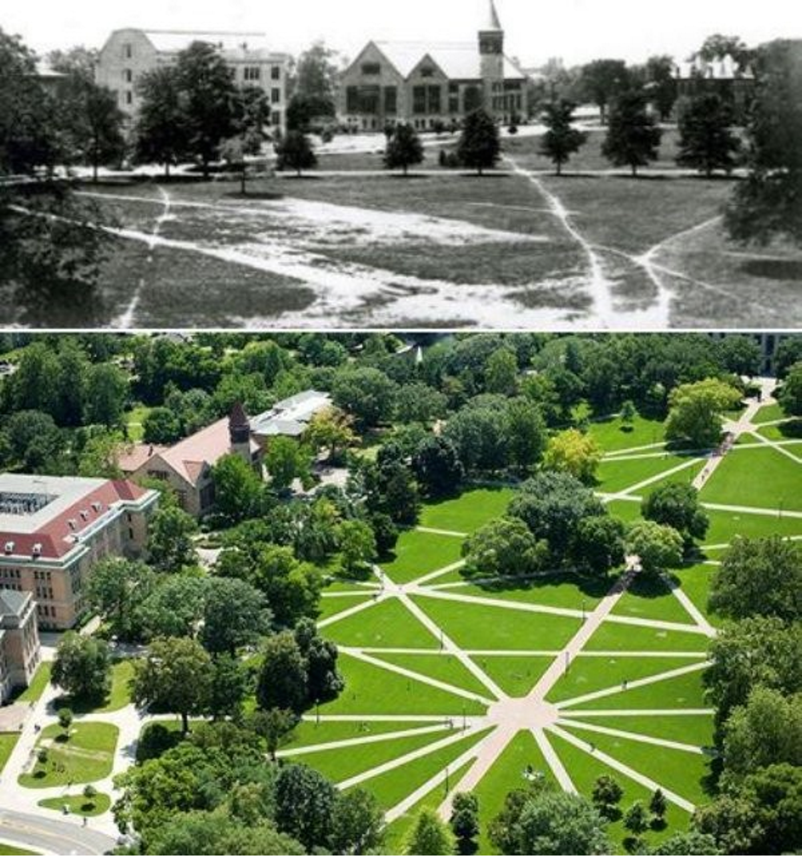 A view of the paths that students made vs. the final design